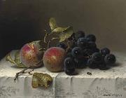 Prunes and grapes on a damast tablecloth Johann Wilhelm Preyer